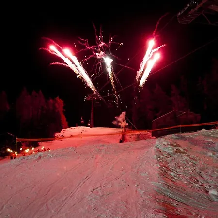 Adele In&ski Out Chalet 10 Pers * Veysonnaz