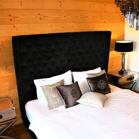 木屋 Adele In & Out Chalet 10 Pers 维松纳